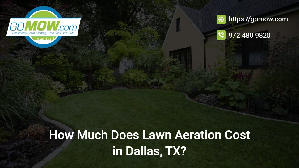 How Much Does Lawn Aeration Cost in Dallas, TX