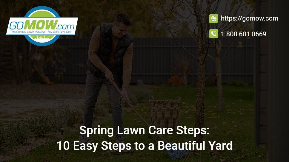 Spring Lawn Care Steps: 10 Easy Steps To A Beautiful Yard