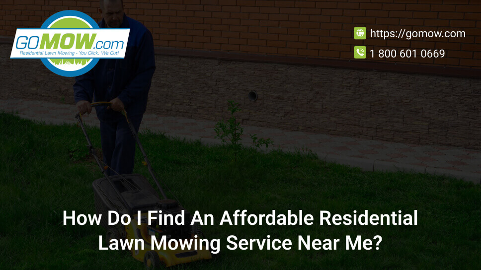How Do I Find An Affordable Residential Lawn Mowing Service Near Me?