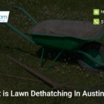 what-is-lawn-dethatching-in-austin-tx