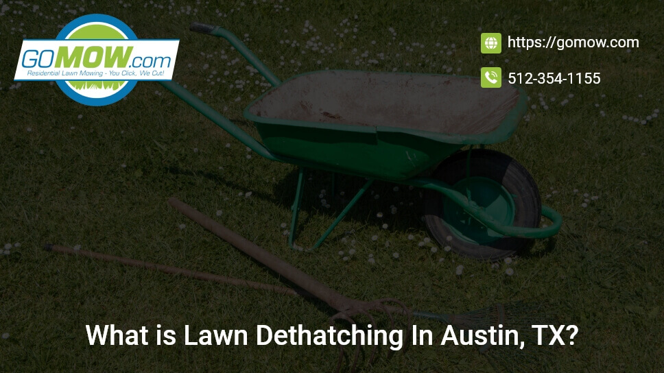 What Is Lawn Dethatching In Austin, TX?