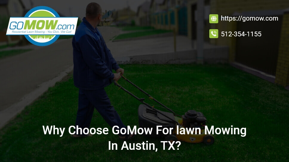 Why Choose GoMow For Lawn Mowing In Austin, TX?