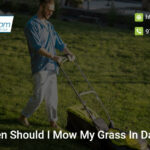 how-often-should-i-mow-my-grass-in-dallas-tx