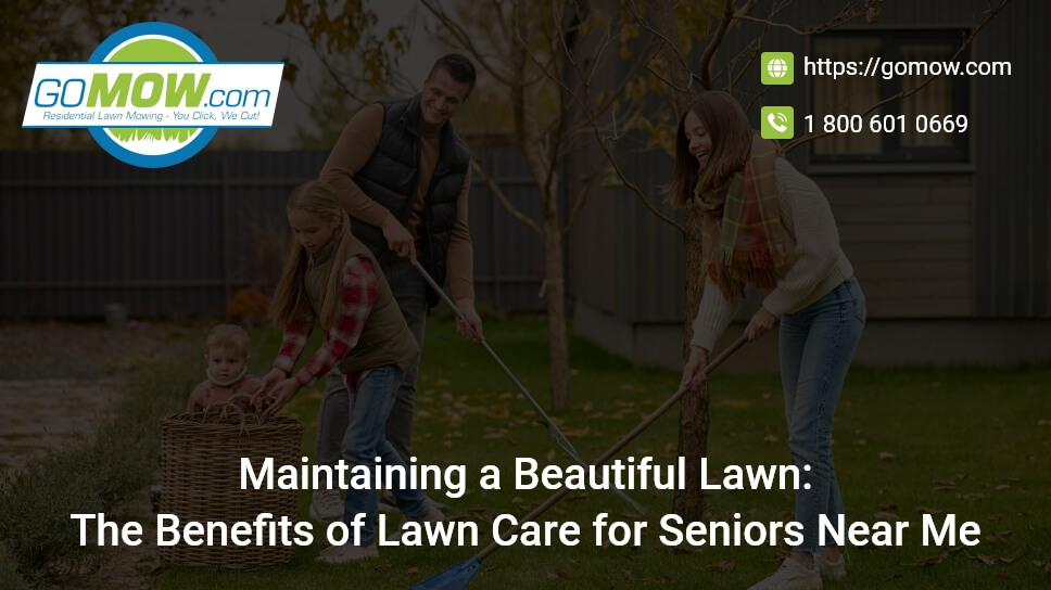 maintaining-a-beautiful-lawn-the-benefits-of-lawn-care-for-seniors-near-me