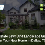 ultimate-lawn-and-landscape-guide-for-your-new-home-in-dallas-tx
