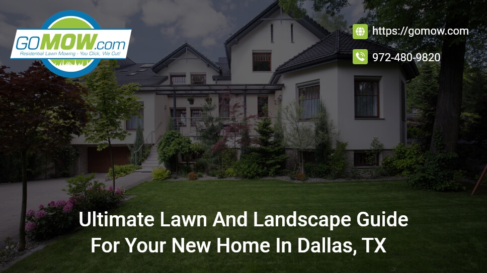 ultimate-lawn-and-landscape-guide-for-your-new-home-in-dallas-tx