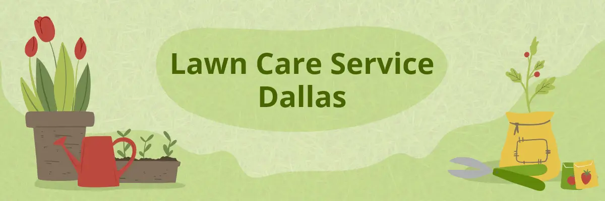 lawn-care-service-dallas