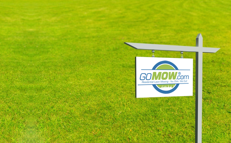 The Lawn Care Services Offered by GOMOW