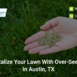 revitalize-your-lawn-with-over-seeding-in-austin-tx