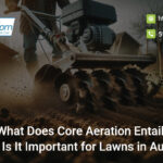 what-does-core-aeration-entail-and-why-is-it-important-for-lawns-in-austin-tx