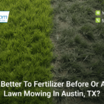 is-it-better-to-fertilizer-before-or-after-lawn-mowing-in-austin-tx