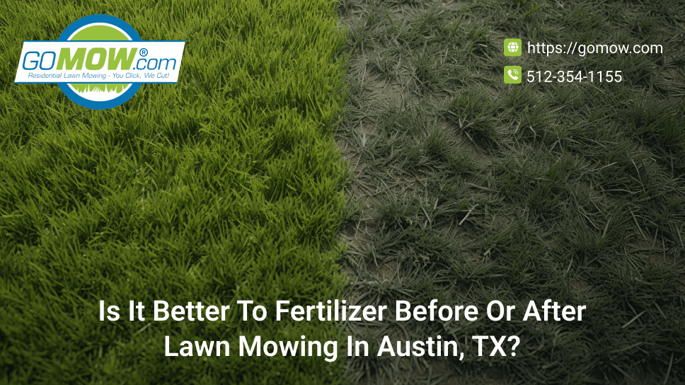 Is It Better To Fertilizer Before Or After Lawn Mowing In Austin, TX?