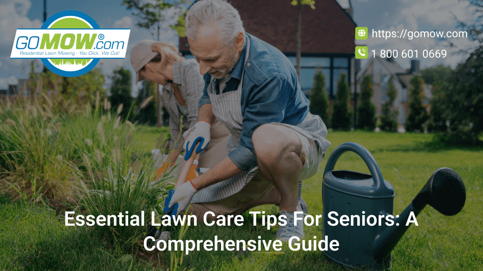 essential-lawn-care-tips-for-seniors-a-comprehensive-guide