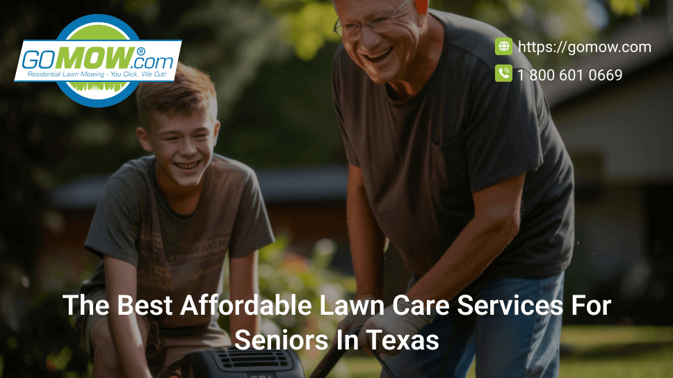 the-best-affordable-lawn-care-services-for-seniors-in-texas