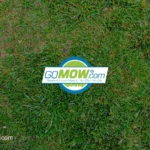 7-essential-tips-for-winter-lawn-disease-prevention-a-guide-for-a-healthy-lawn-in-addison-texas