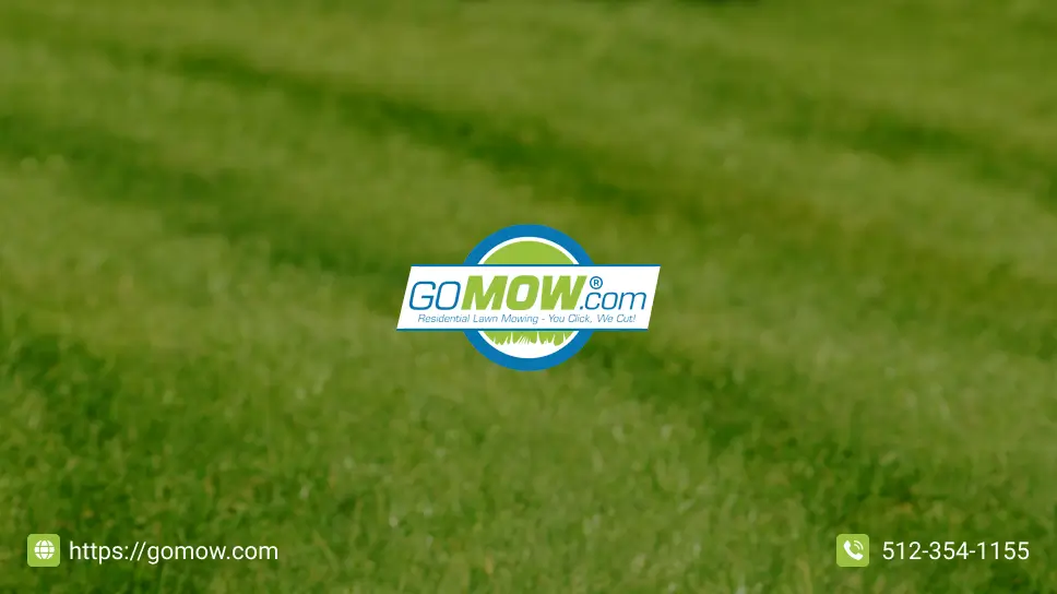 A Step-by-Step Guide To Lawn Mowing In Hutto: Best Practices For Success