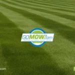 budgeting-for-lawn-mowing-services-determining-affordable-lawn-mowing-cost-in-texas