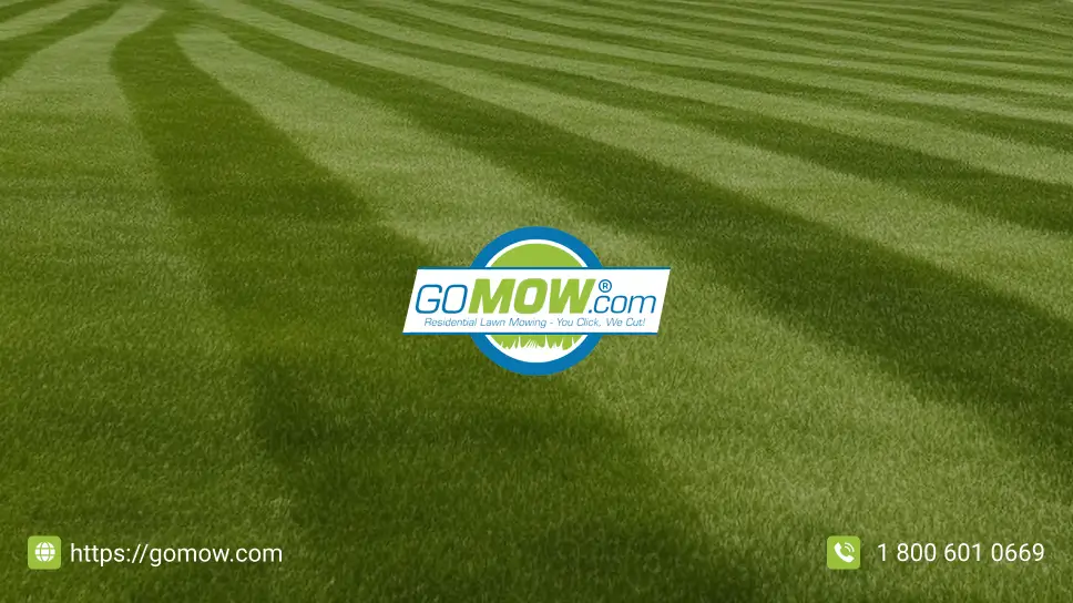 Budgeting For Lawn Mowing Services: Determining Affordable Lawn Mowing Cost In Texas