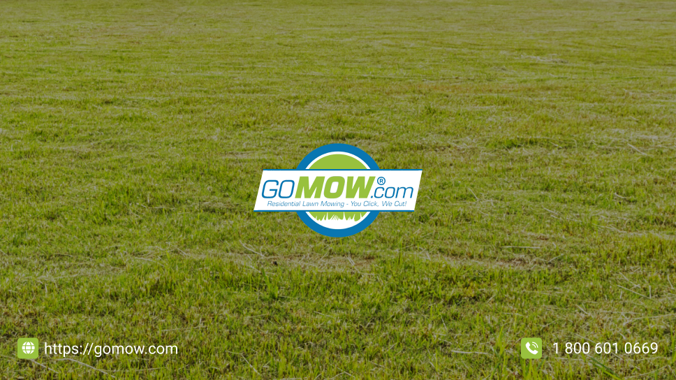 5-expert-lawn-maintenance-tips-for-greener-grass-in-texas-the-ultimate-lawn-maintenance-guide