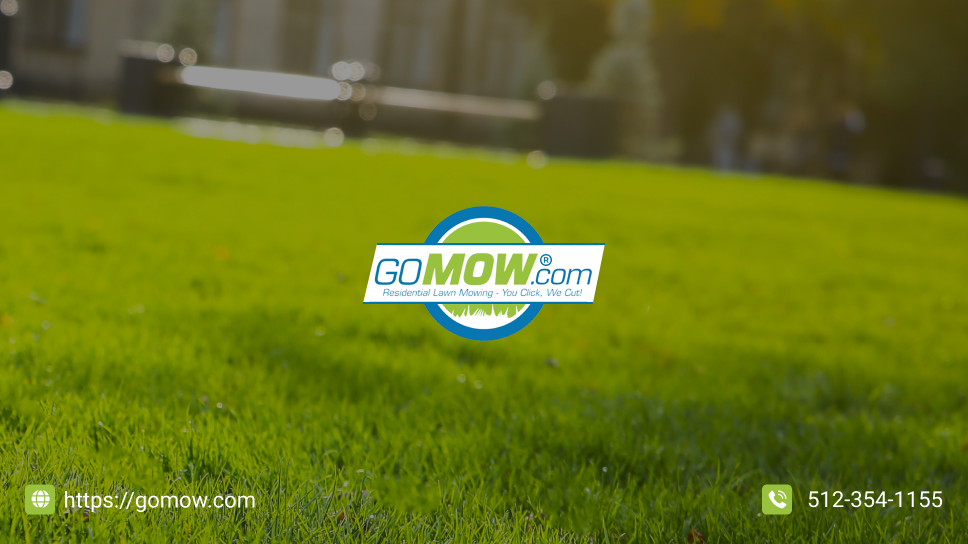 achieving-a-beautiful-lawn-in-austin-expert-maintenance-strategies