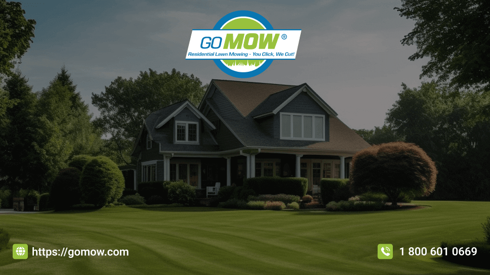 top-10-ideal-mowing-schedules-for-lawns-in-texas-2025