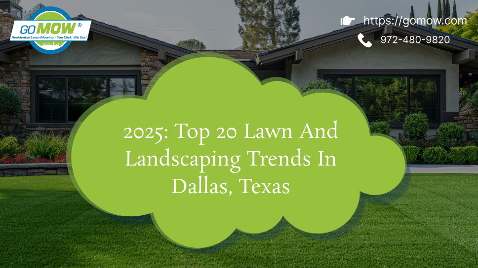 2025: Top 20 Lawn And Landscaping Trends In Dallas, Texas