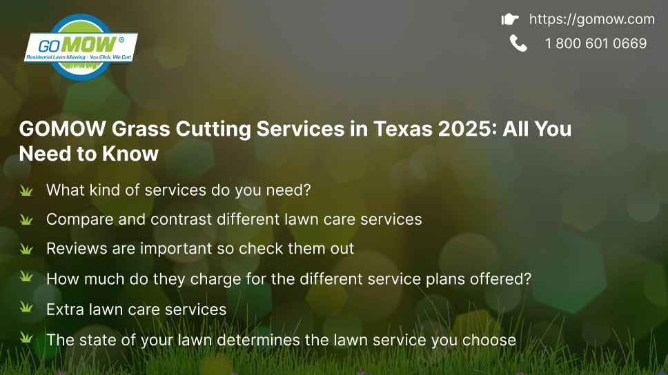 GOMOW Grass Cutting Services In Texas 2025: All You Need To Know