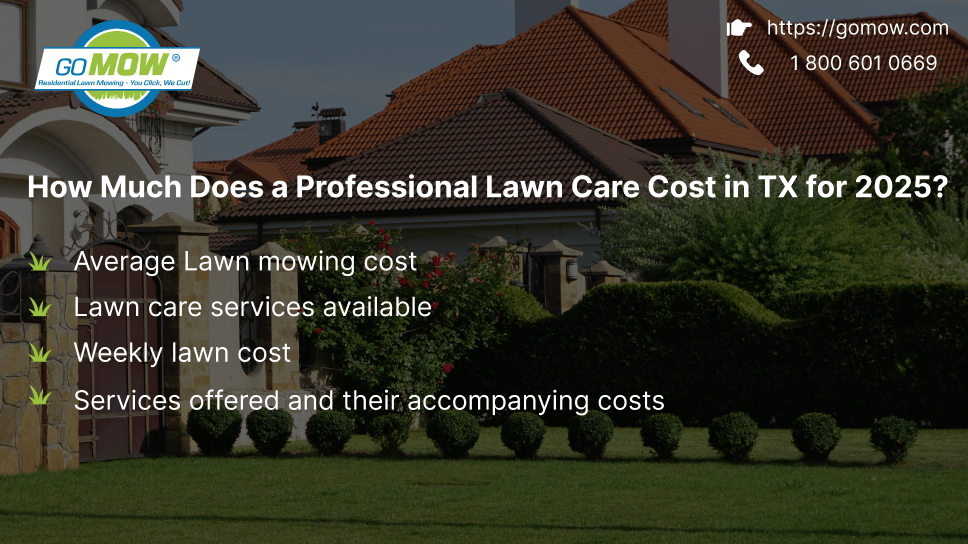 how-much-does-a-professional-lawn-care-cost-in-tx-for-2025