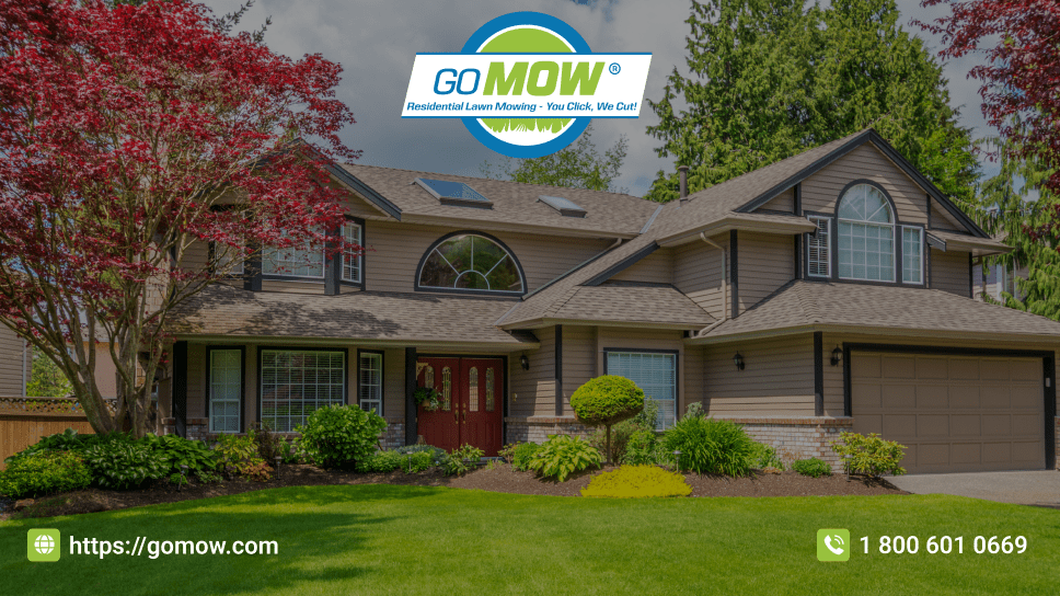 how-to-save-money-on-lawn-mowing-services-without-compromising-quality