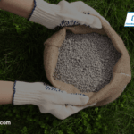 dallas-spring-lawn-care-the-perfect-time-to-fertilize