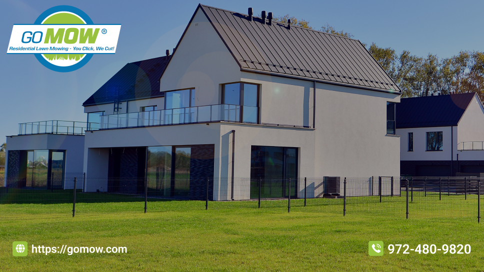 How To Keep Your Grass Green In The Dallas Summer?
