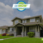 lawn-mowing-in-plano-weekly-vs-bi-weekly-whats-best