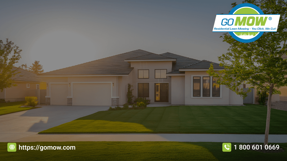 Essential Fall Lawn Care Tips For Texas Homeowners