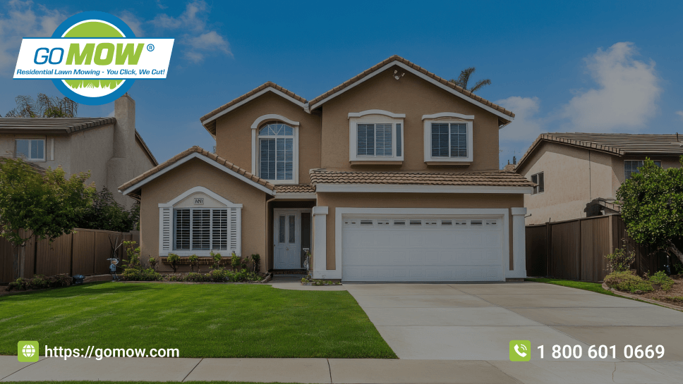 Winter Lawn Care Tips To Keep Your Yard Healthy And Beautiful