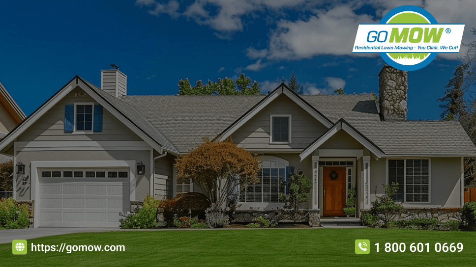 avoid-these-10-winter-lawn-care-mistakes-for-a-healthier-texas-lawn