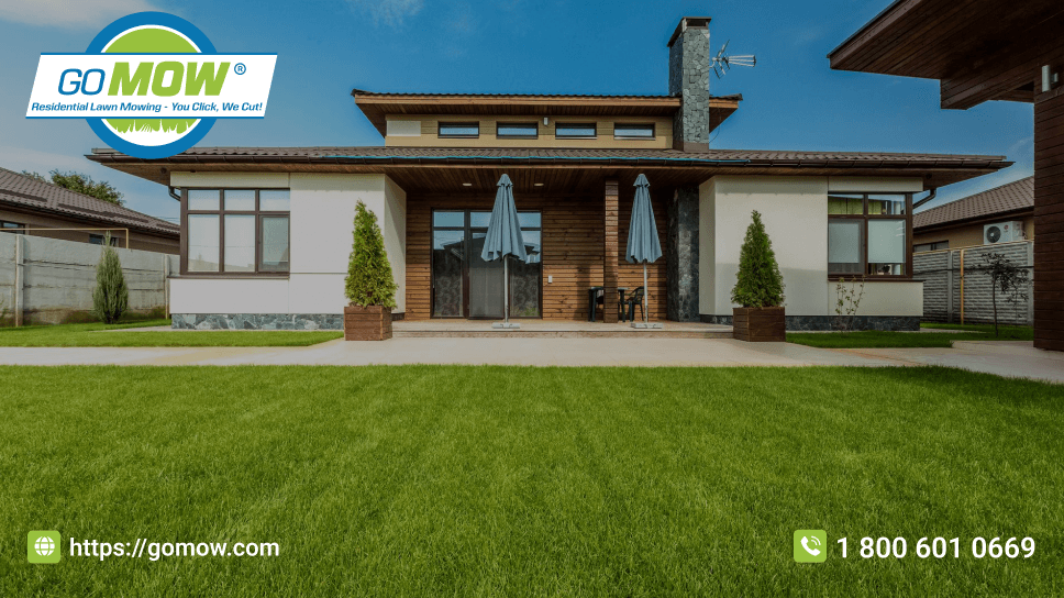 How Often Should You Mow Your Lawn In Texas This November?