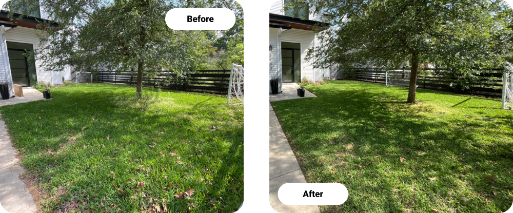 Before and After Residential Lawn Care Service In Austin, TX Before and After Residential Lawn Care Service In Austin, TX