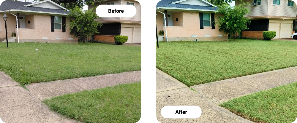 Before And After Lawn Care Service In Richardson, TX Before And After Lawn Care Service In Richardson, TX