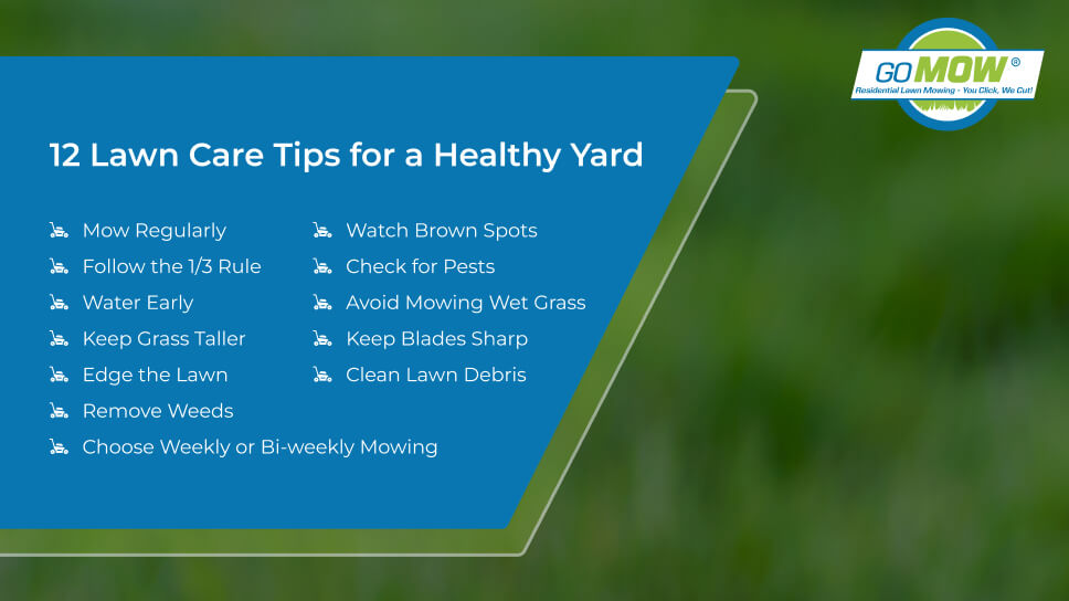 Leander Lawn Care Tips for a Healthy Yard Leander Lawn Care Tips for a Healthy Yard