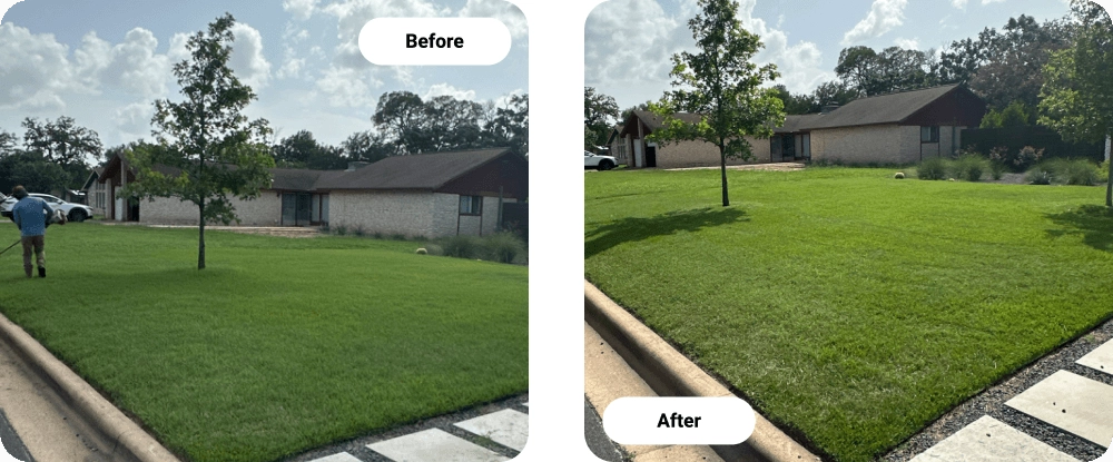 Before and After Local Lawn Mowing Service In Austin, TX Before and After Local Lawn Mowing Service In Austin, TX