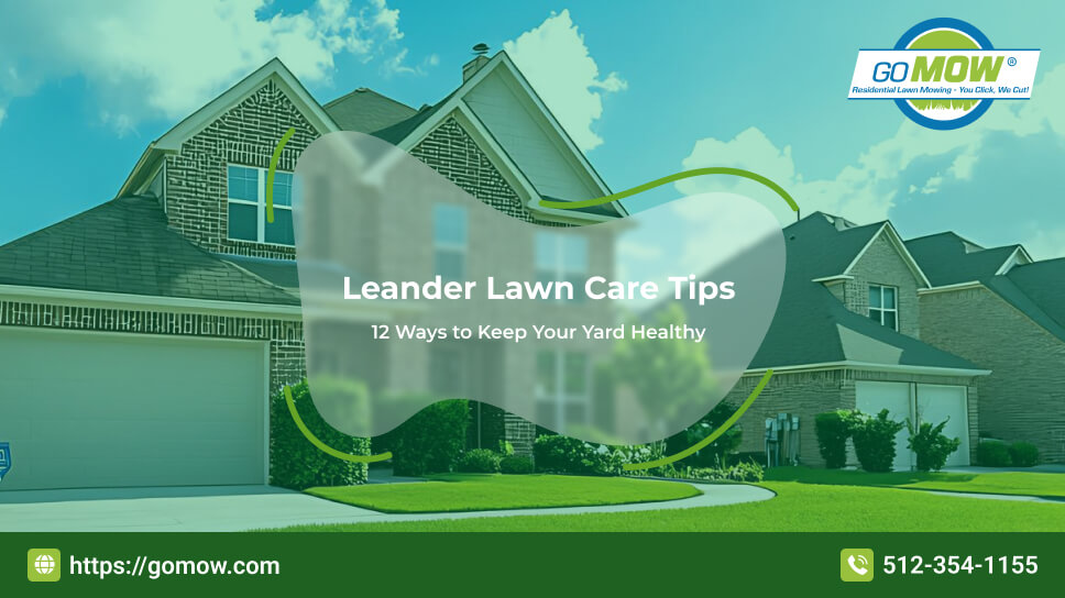 Healthy Green Lawn in Leander Tx With Clean Edging