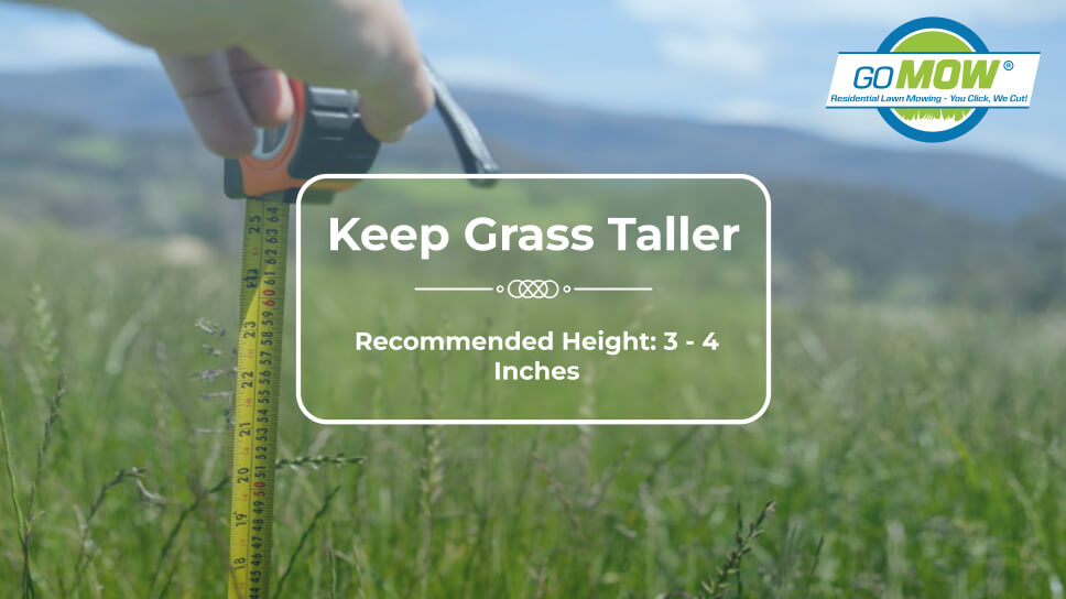 Recommended Summer Lawn Mowing Height for Texas Grass Recommended Summer Lawn Mowing Height for Texas Grass
