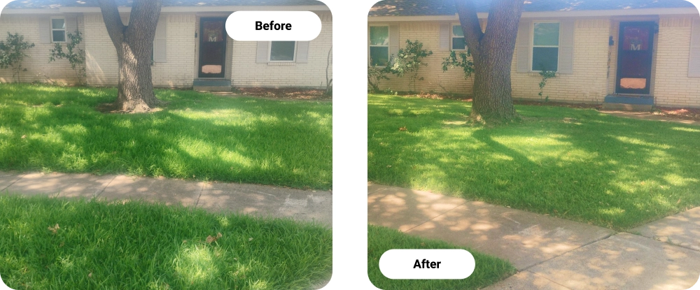 Before and After Organic Lawn Care Service In Garland, TX