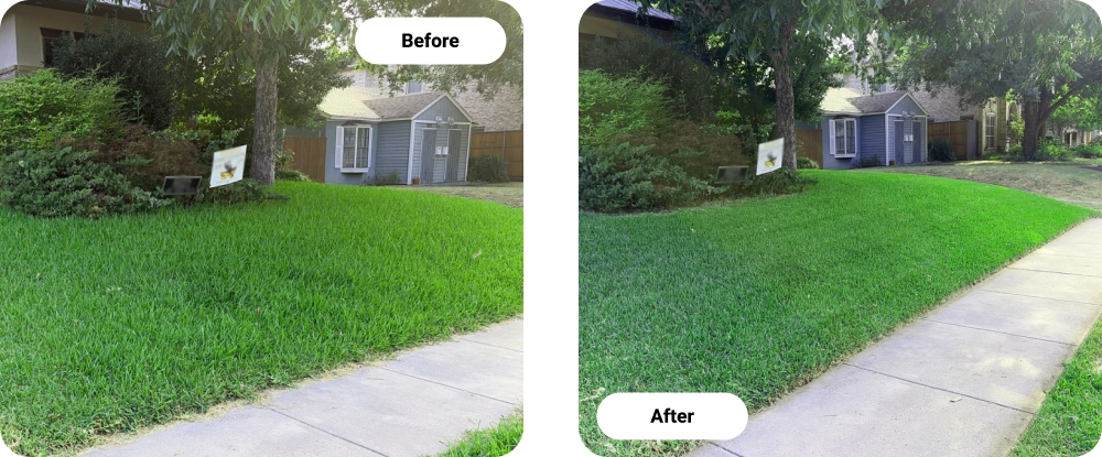 Before and After Professional Lawn Care Service In Dallas, TX Before and After Professional Lawn Care Service In Dallas, TX