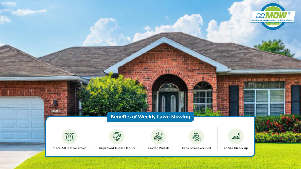 Benefits of Weekly Lawn Mowing for a Healthy and Well-maintained Lawn Benefits of Weekly Lawn Mowing for a Healthy and Well-maintained Lawn