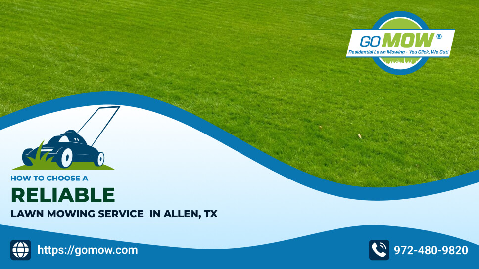 Choosing a Reliable Lawn Mowing Service in Allen, TX