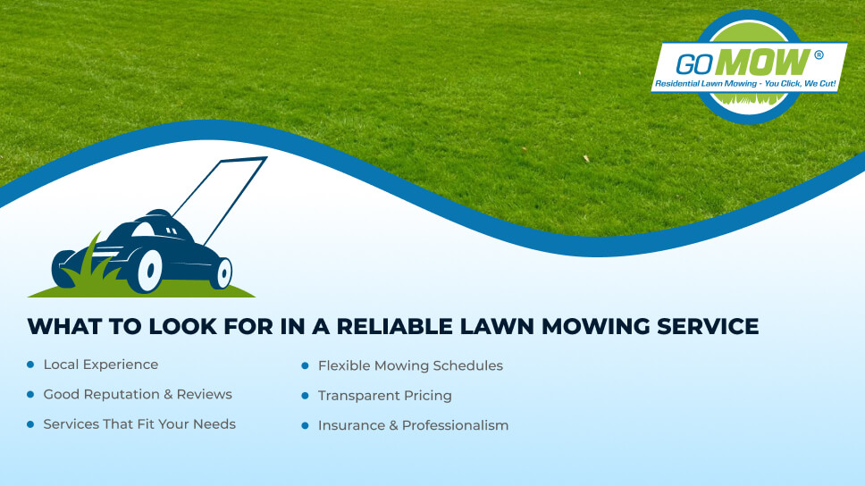 What to Look for When Choosing a Reliable Lawn Mowing Service
