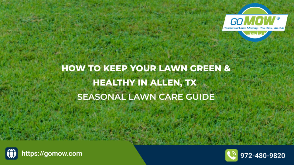 Seasonal Lawn Care Tips for a Green and Healthy Lawn in Allen TX Seasonal Lawn Care Tips for a Green and Healthy Lawn in Allen TX