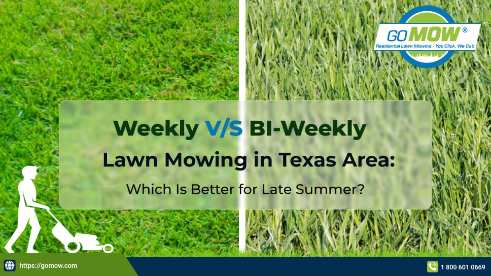 Weekly vs Bi-weekly Lawn Mowing in Texas During Late Summer