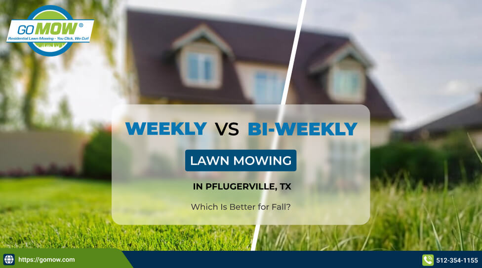 Weekly vs Bi-weekly Lawn Mowing in Texas During Late Summer